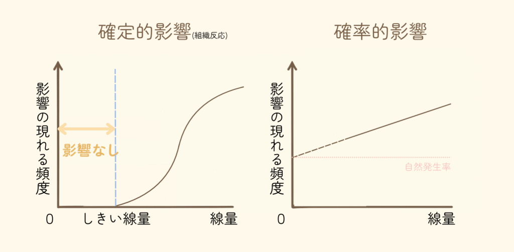 放射線の確定的影響・確率的影響
