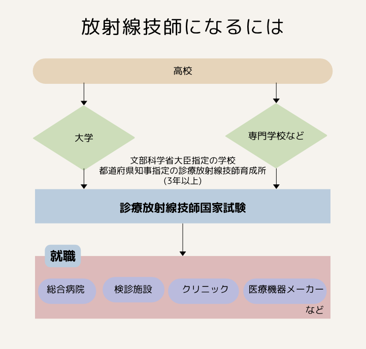 放射線技師 なりかた フローチャート