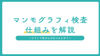 マンモグラフィ検査のしくみをやさしく解説|どうして乳がんが見つかるの?